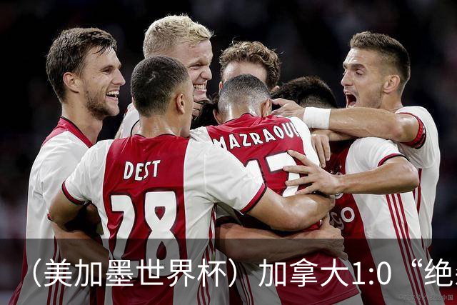 （美加墨世界杯）加拿大1:0“绝杀”南非 队史首进16强